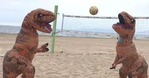 Costume Four Square Volleyball