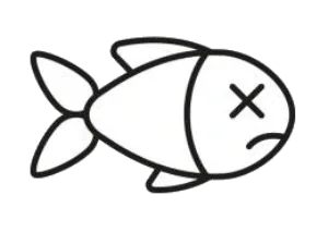 Wayne's Discount Tropical Fish and Aquarium Supplies
