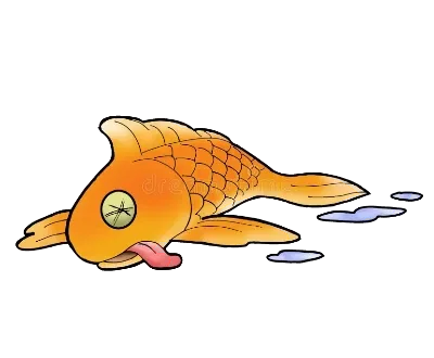 Wayne’s Discount Tropical Fish and Aquarium Supplies